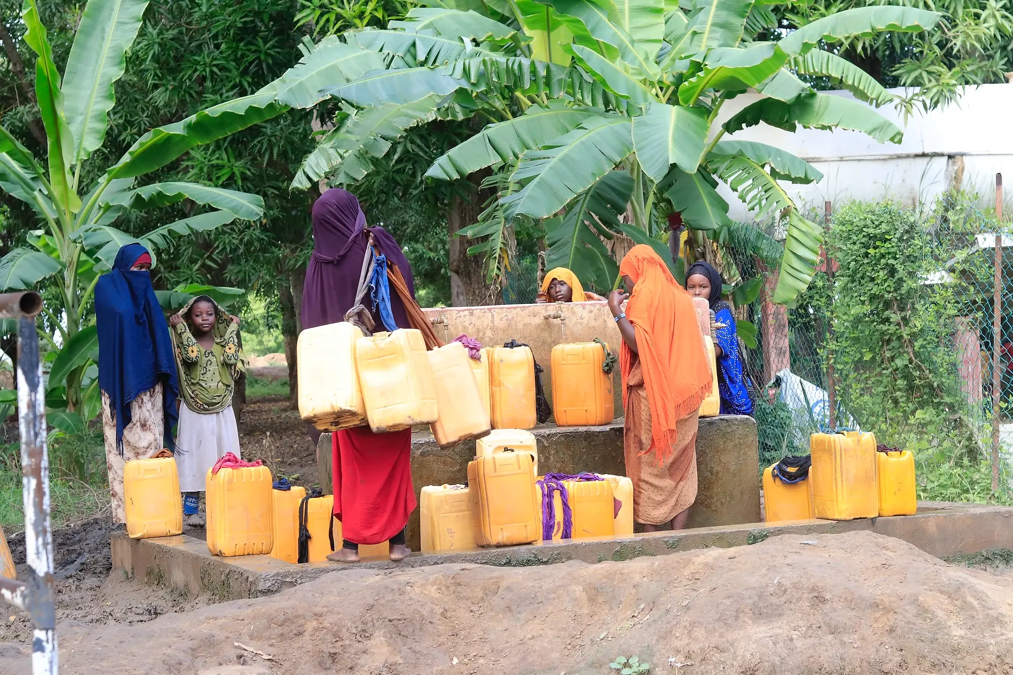 Women and girls standing among rows of yellow jerrycans on a masonry collection point, with banana plants and a fence behind them.