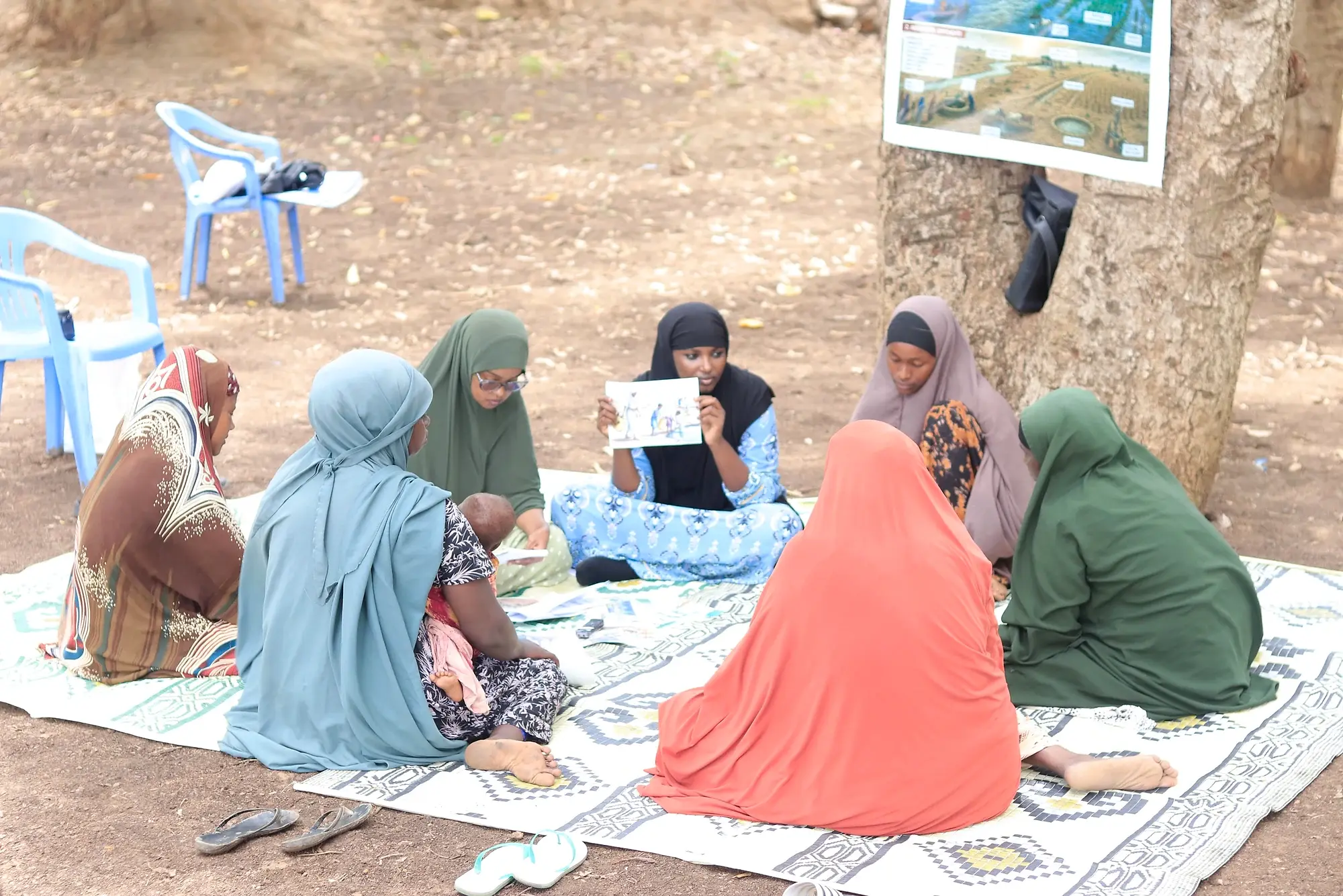 A group of women seated in a circle on mats under a tree, with printed cards between them and illustrated posters pinned to the trunk behind.