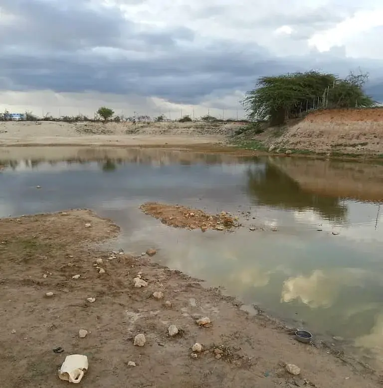 A seasonal earth pond holding water below a bank of trees and a fence line, under a heavy sky.